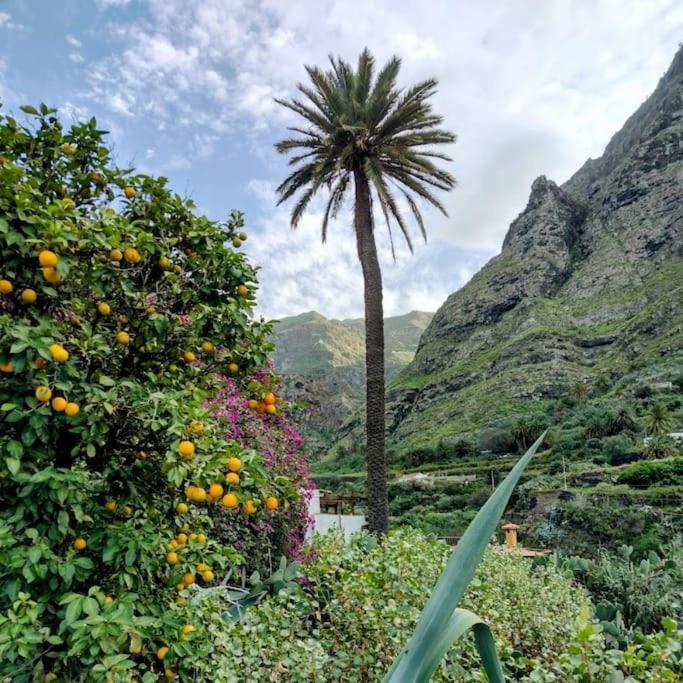 Villa Tamadaba Agaete  Eksteriør billede